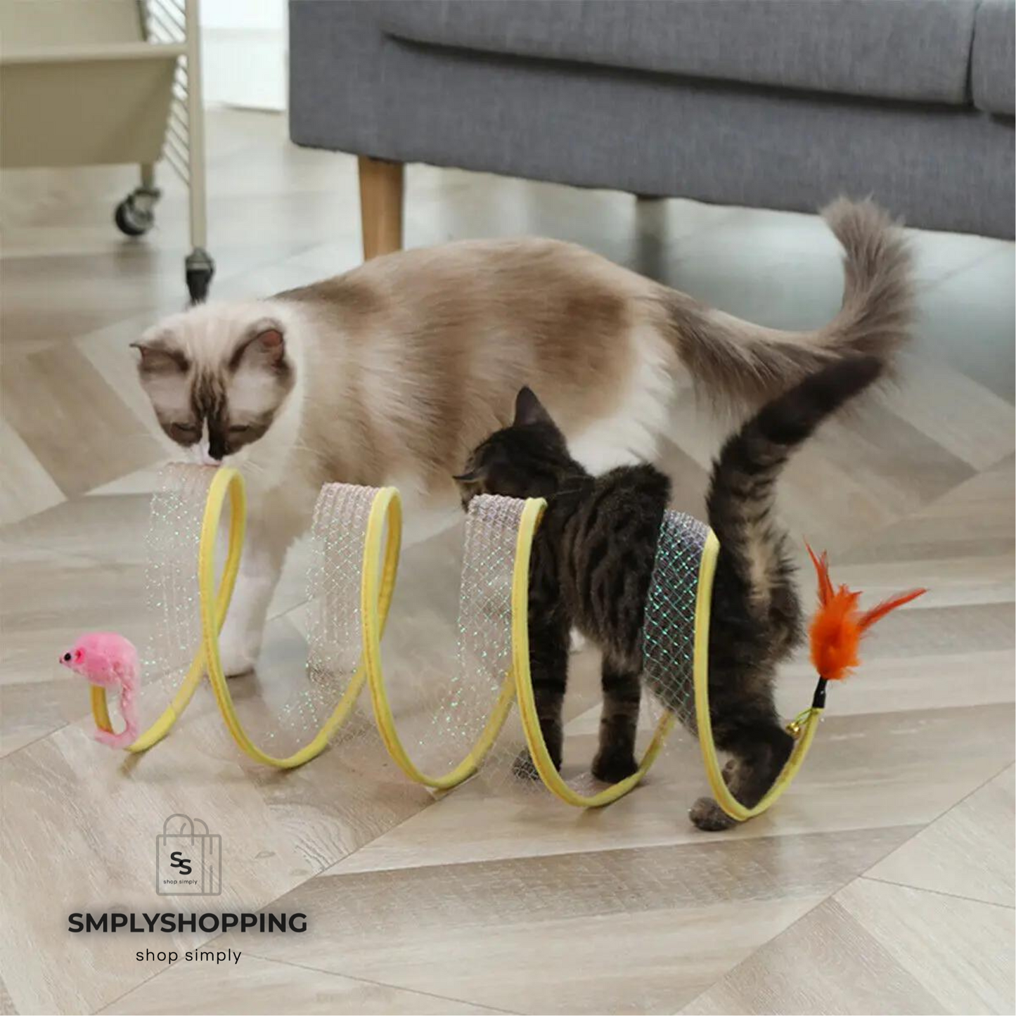 PawSpiral - Der 2-in-1 Spielspaß für meisterhafte Katzen!